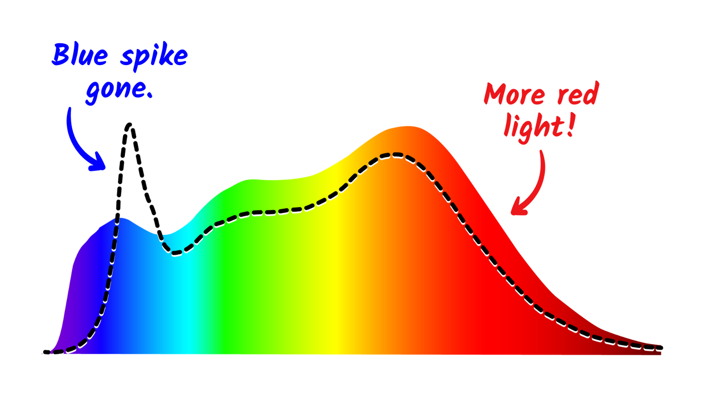Spectral comparison: generic LED vs Sunsy Shine vs sunlight